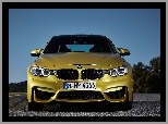 Grill, BMW M4, Ringi